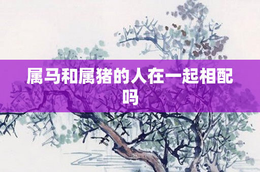 属马和属猪的人在一起相配吗