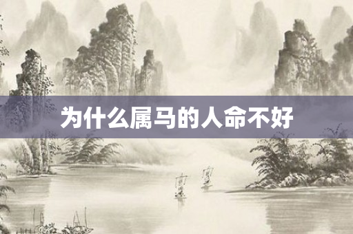 为什么属马的人命不好