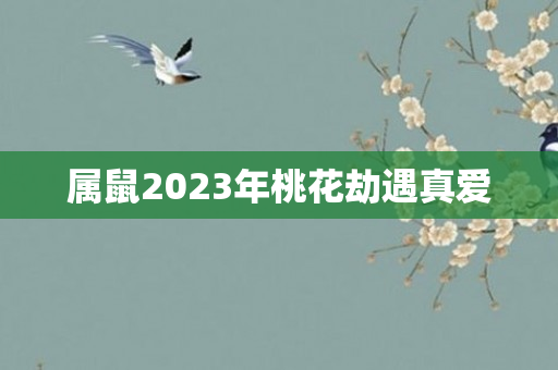 属鼠2023年桃花劫遇真爱