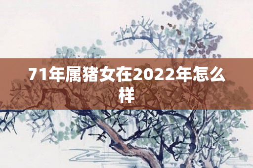 71年属猪女在2022年怎么样