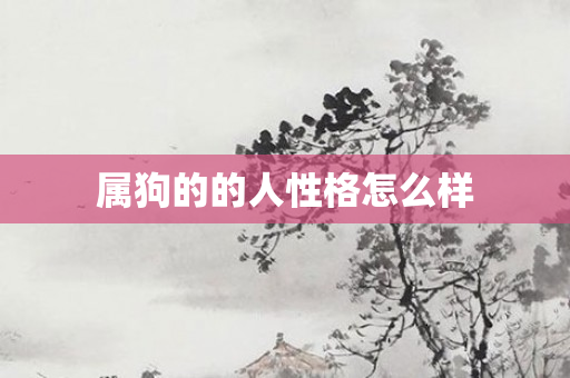 属狗的的人性格怎么样