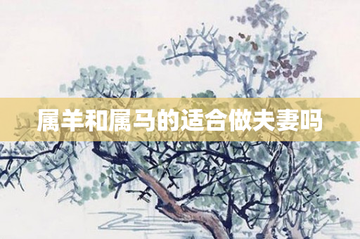 属羊和属马的适合做夫妻吗
