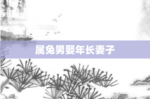 属兔男娶年长妻子