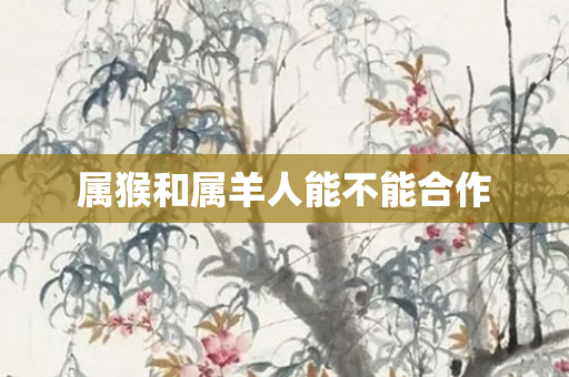 属猴和属羊人能不能合作