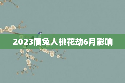 2023属兔人桃花劫6月影响