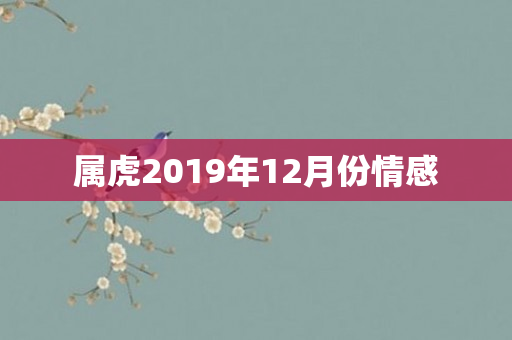 属虎2019年12月份情感