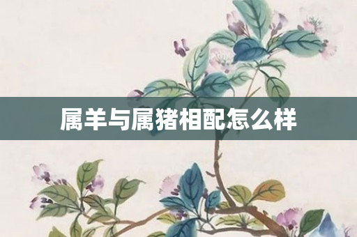 属羊与属猪相配怎么样