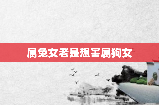 属兔女老是想害属狗女