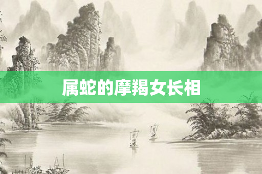 属蛇的摩羯女长相