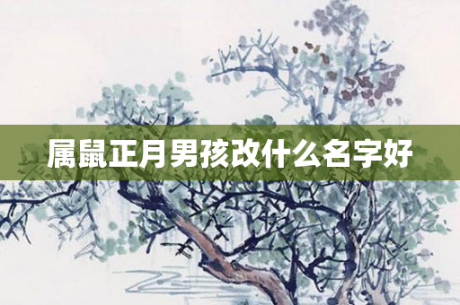 属鼠正月男孩改什么名字好