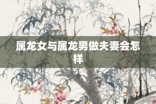 属龙女与属龙男做夫妻会怎样