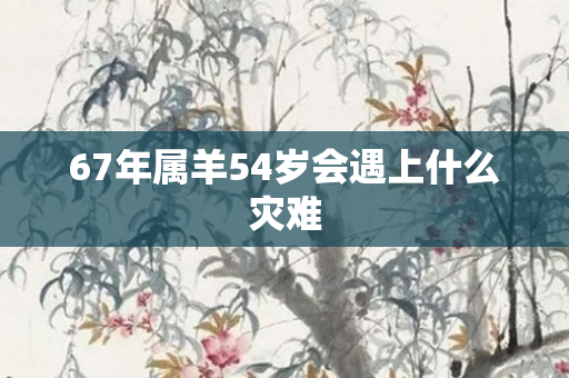 67年属羊54岁会遇上什么灾难