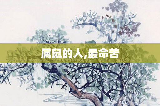 属鼠的人,最命苦