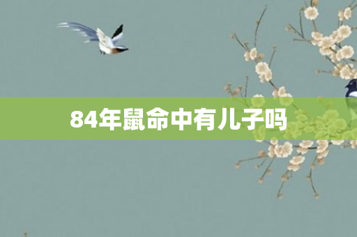 84年鼠命中有儿子吗
