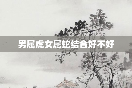 男属虎女属蛇结合好不好