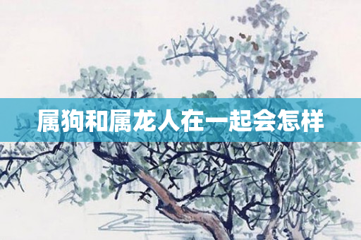 属狗和属龙人在一起会怎样