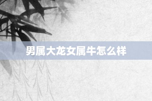 男属大龙女属牛怎么样
