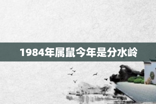 1984年属鼠今年是分水岭