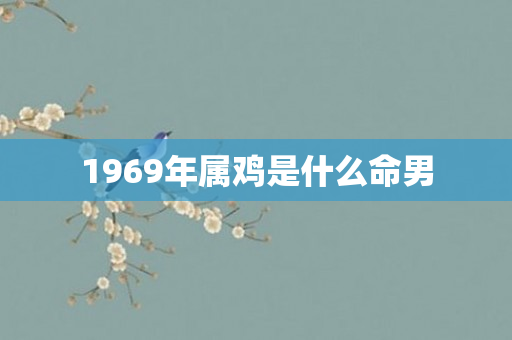1969年属鸡是什么命男