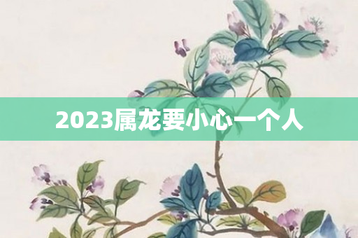 2023属龙要小心一个人