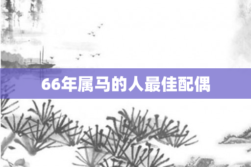 66年属马的人更佳配偶