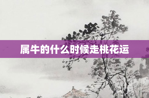 属牛的什么时候走桃花运