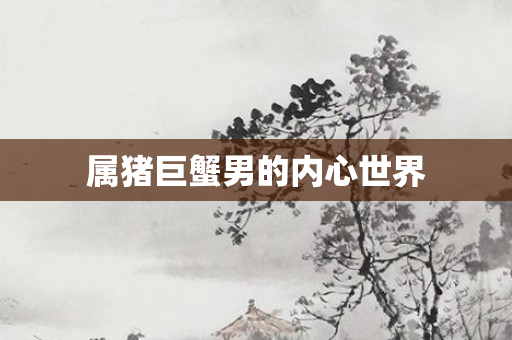 属猪巨蟹男的内心世界