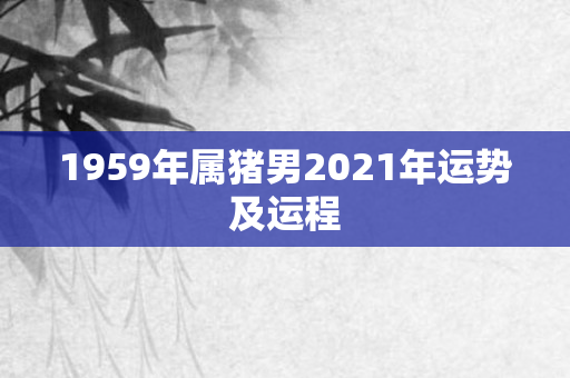 1959年属猪男2021年运势及运程