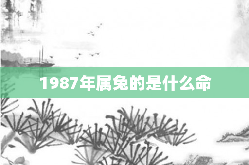 1987年属兔的是什么命