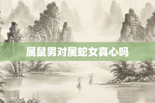 属鼠男对属蛇女真心吗