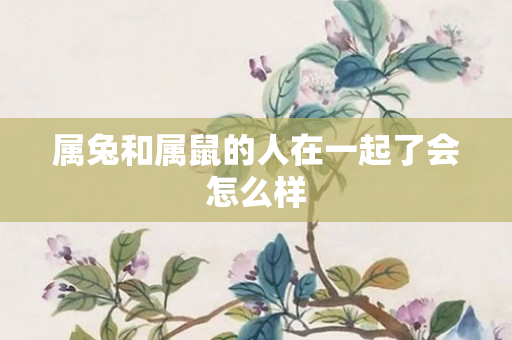 属兔和属鼠的人在一起了会怎么样