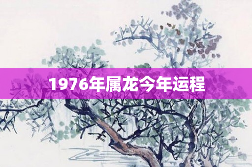 1976年属龙今年运程