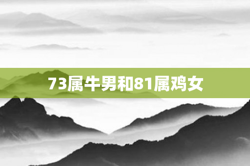 73属牛男和81属鸡女