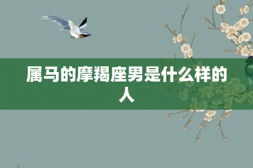属马的摩羯座男是什么样的人