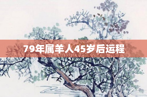 79年属羊人45岁后运程
