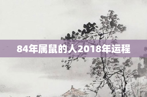 84年属鼠的人2018年运程
