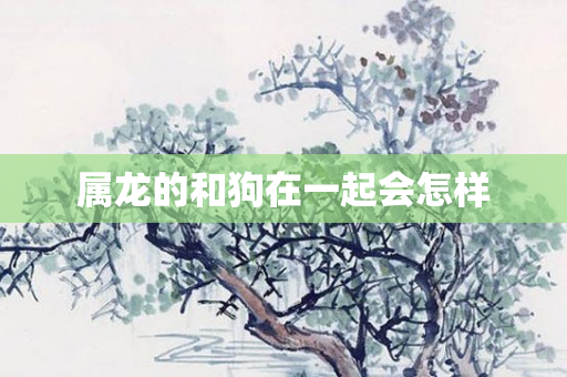 属龙的和狗在一起会怎样