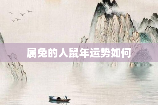 属兔的人鼠年运势如何