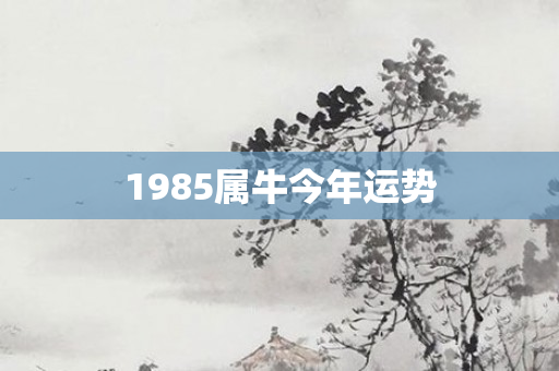 1985属牛今年运势