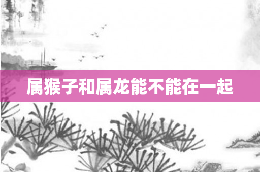 属猴子和属龙能不能在一起