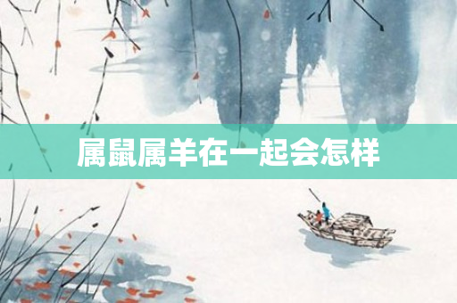 属鼠属羊在一起会怎样