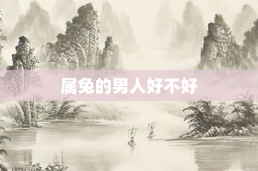 属兔的男人好不好