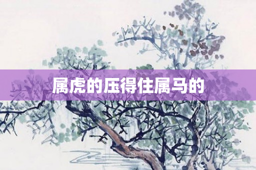 属虎的压得住属马的