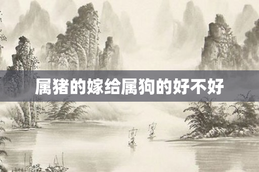 属猪的嫁给属狗的好不好