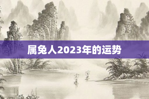 属兔人2023年的运势