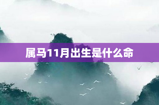 属马11月出生是什么命