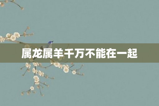 属龙属羊千万不能在一起