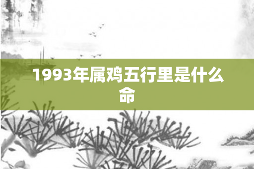 1993年属鸡五行里是什么命