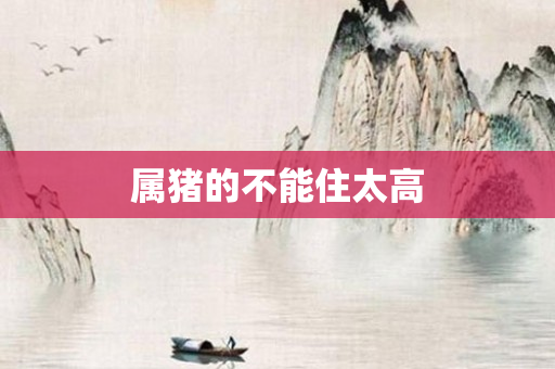 属猪的不能住太高