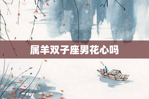 属羊双子座男花心吗